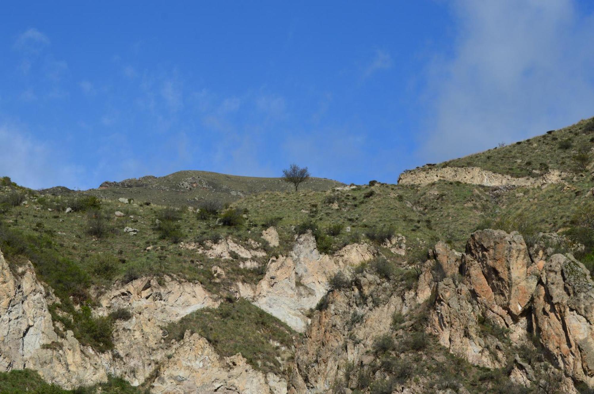 Tirebi Farmhouse Vardzia  Dış mekan fotoğraf