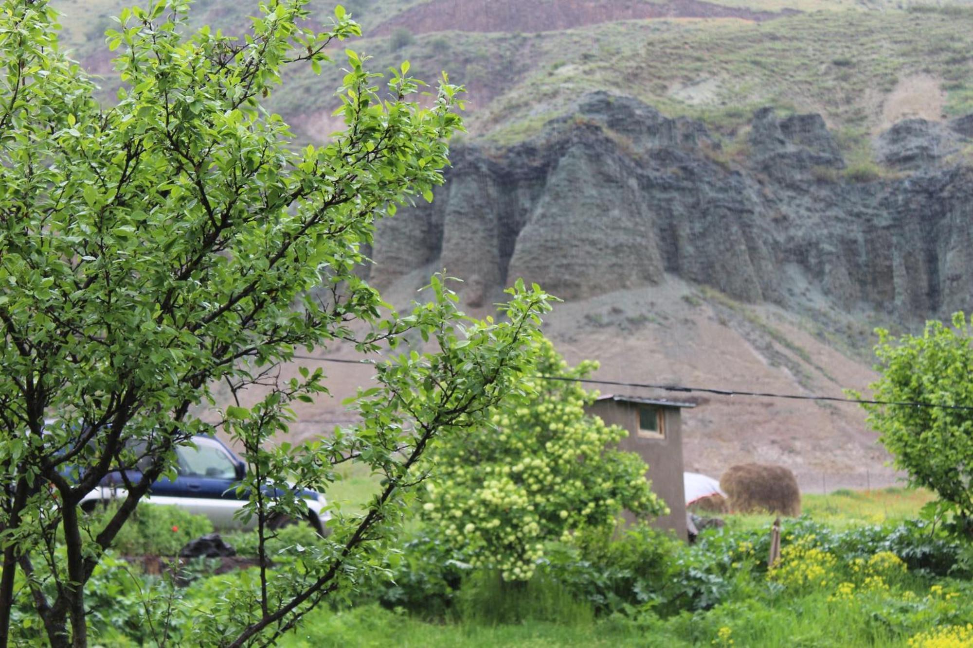 Tirebi Farmhouse Vardzia  Dış mekan fotoğraf